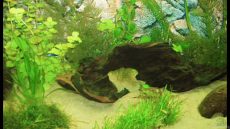 20.10.2008 von Michaela (15)