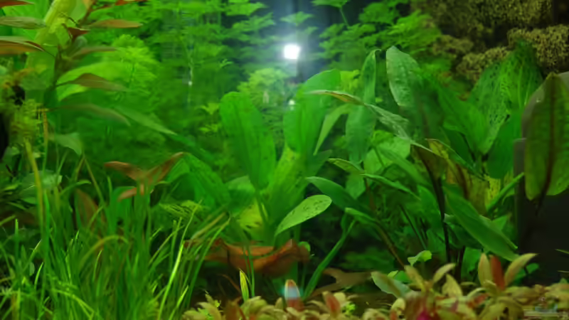 20.10.2012 Nahaufnahme hinten von Sven Seibert (27)