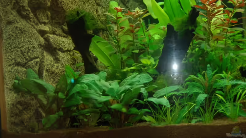 20.10.2012 Nahaufnahme links von Sven Seibert (24)