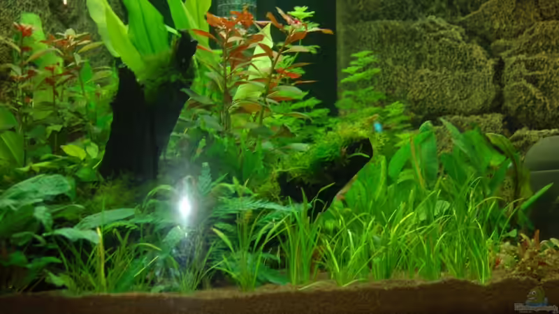 20.10.2012 Nahaufnahme links von Sven Seibert (25)