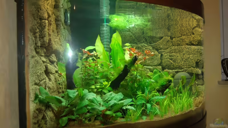 20.10.2012 Nahaufnahme links von Sven Seibert (29)