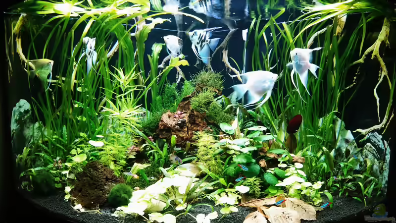 20.10.2018 nach dem Gärtnern von Helene (6)