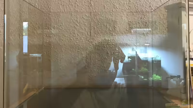 20.10.2019 von Frank T. (2)