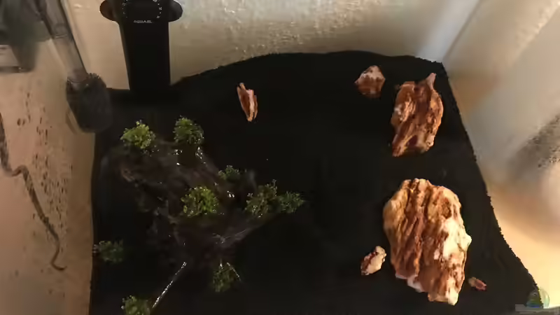 20.10.2019 von Frank T. (4)