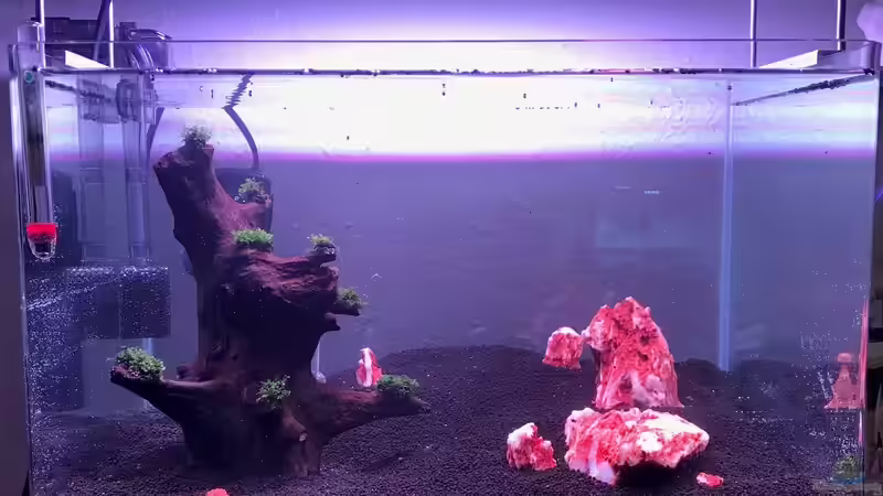 20.10.2019 von Frank T. (5)