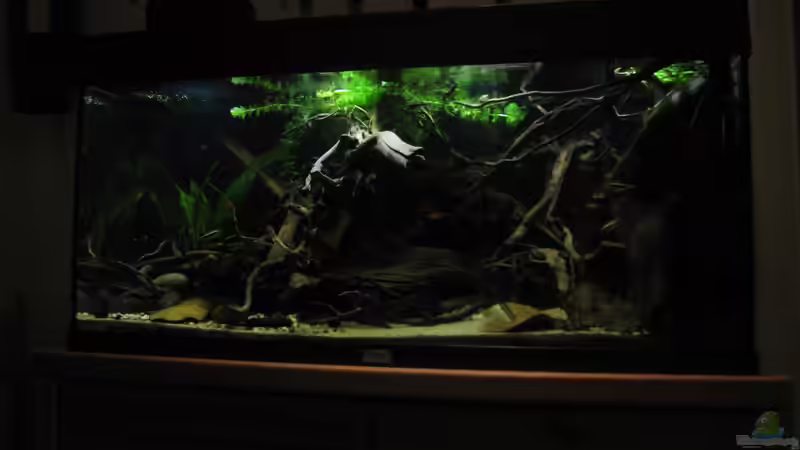 20.11.15 von Jemafa (15)