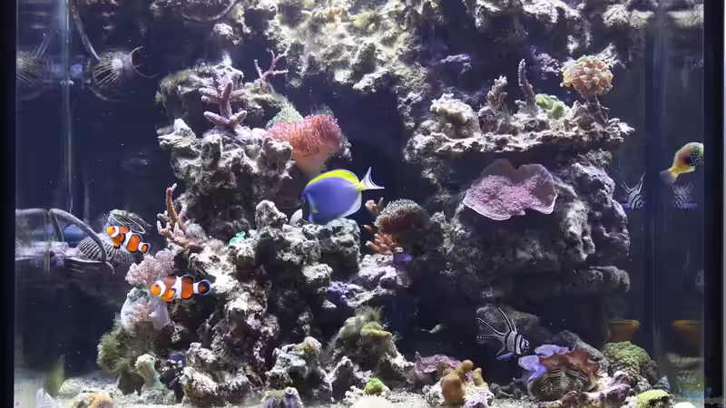 20.11.2009 volle Beleuchtung von Stephan Ascher (20)