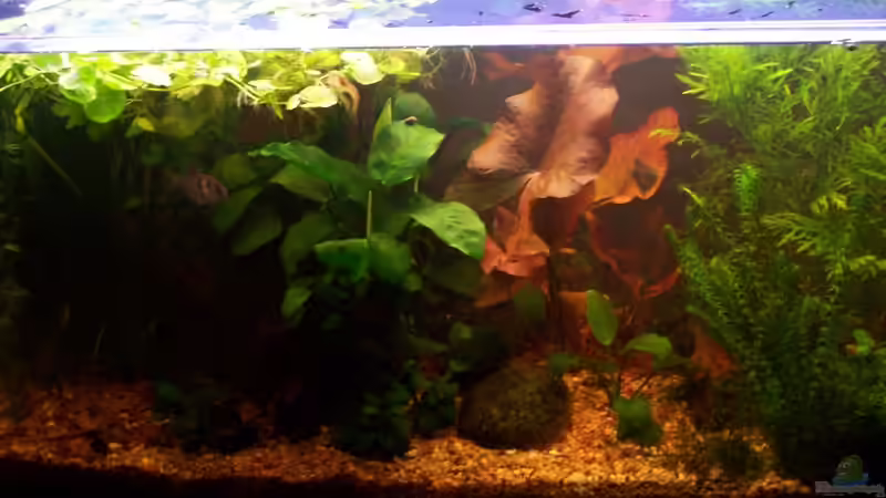 20.11.2009 von Jens J. (10)