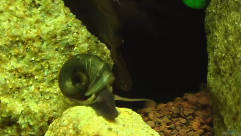 20.11.2010 von *Lucie* (48)