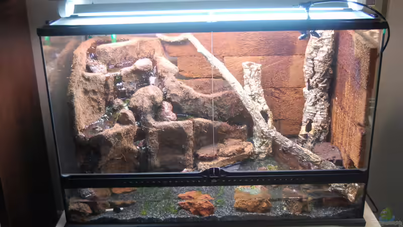 20.11.2013 von Junglist (24)