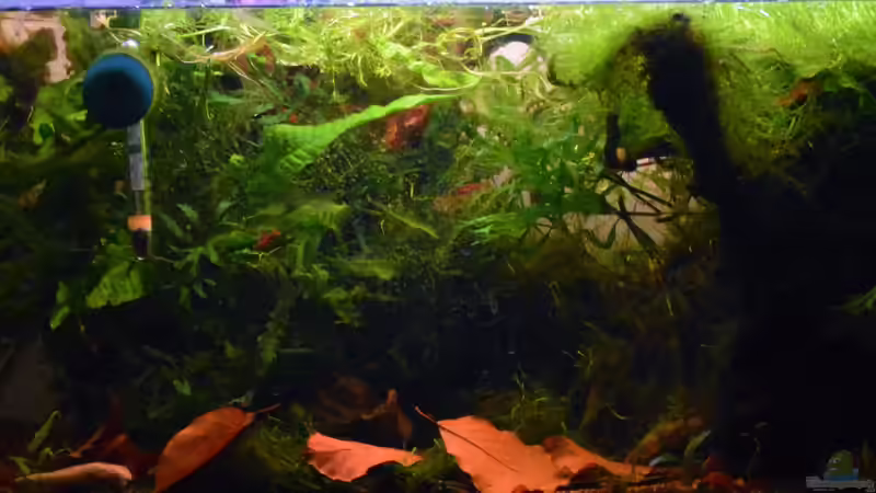 20.11.2016 von Dominik (2)