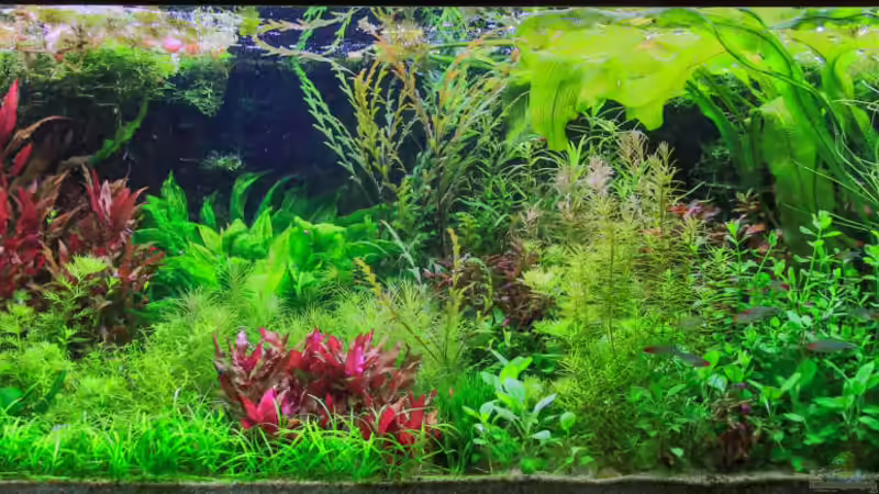 20.11.2017 von Ralf64 (2)