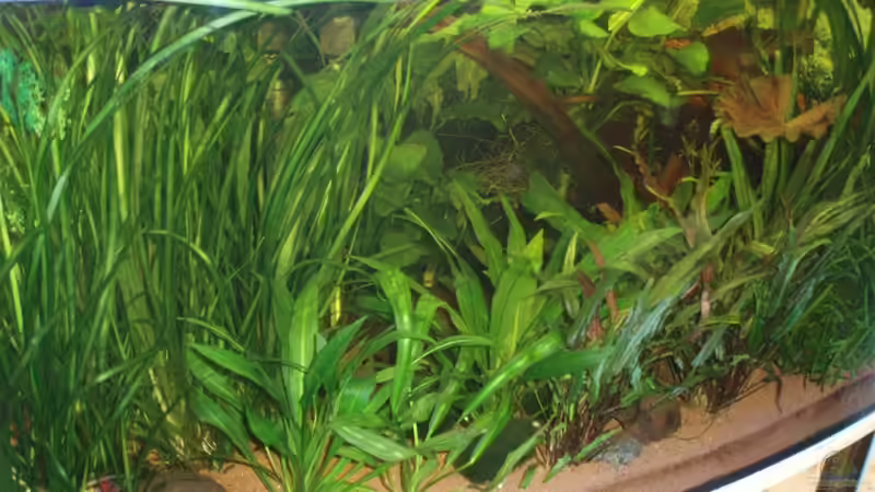 20.12.09 von ~Marco~ (7)