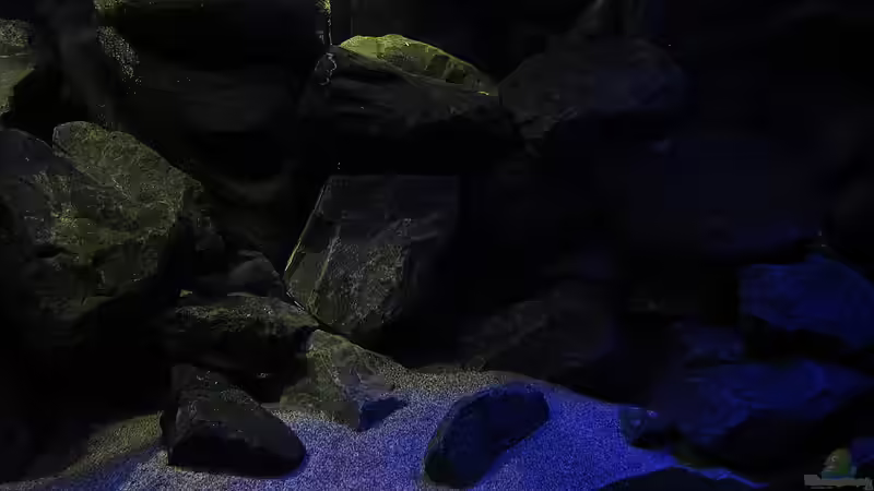 20.12.12 Dark Stones von bossie1704 (48)