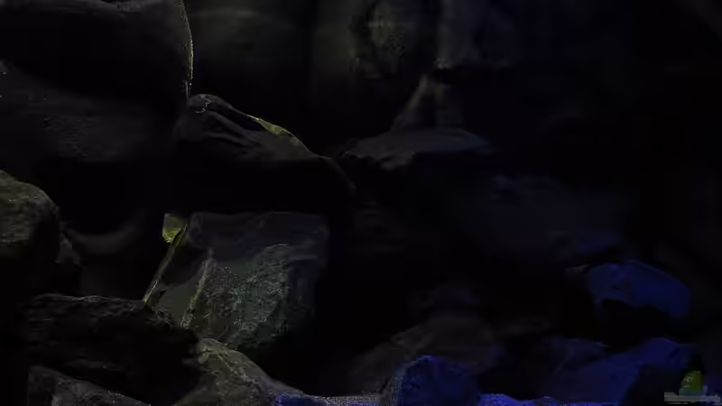 20.12.12 Felsvorsprung und Felsendom im Hintergrund von bossie1704 (46)