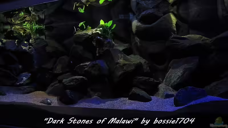 20.12.12 Gesamtansicht in Richtung Abend von bossie1704 (21)