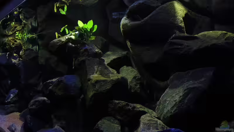 20.12.12 Gesamtansicht von rechts von bossie1704 (45)