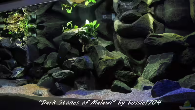 20.12.12 Gesamtansicht zur Mittagszeit von bossie1704 (5)