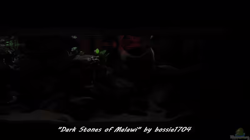 20.12.12 Morgenrot von bossie1704 (13)