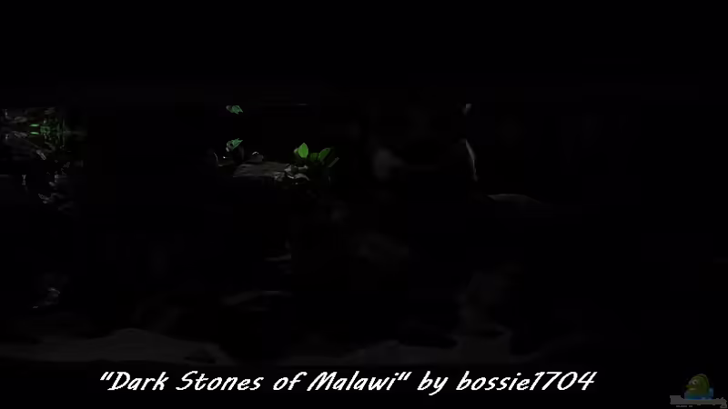 20.12.12 Neumond von bossie1704 (28)