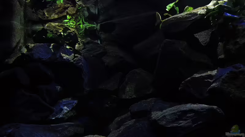 20.12.12 Reflektionen der linken Beckenhälfte von bossie1704 (18)