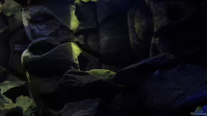 20.12.12 Sieht aus wie eine Höhle von bossie1704 (49)