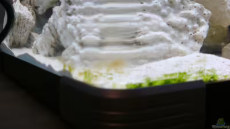 20.12.12 von Jademeister (10)