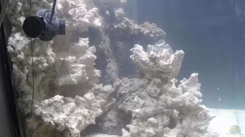 20.12.2008 Becken von links von Stephan Ascher (5)