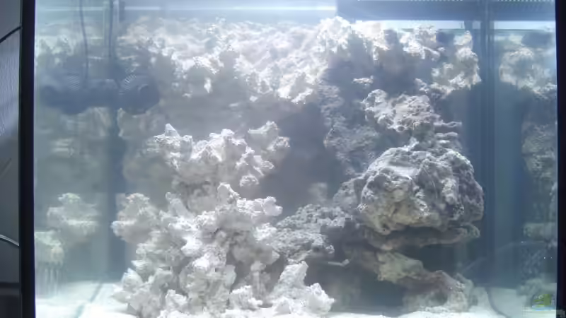 20.12.2008 front von Stephan Ascher (6)