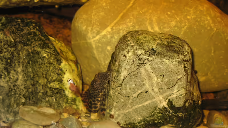 20.12.2013 von der Theoretiker (96)