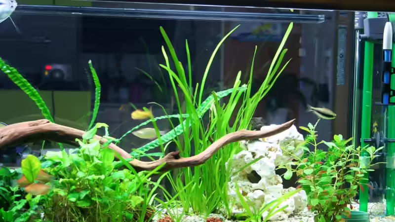 20.2.2011 von hirschjäger (19)