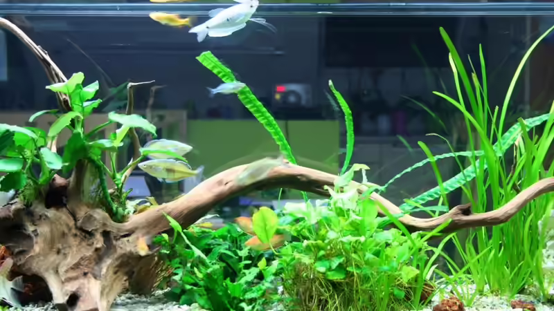 20.2.2011 von hirschjäger (20)