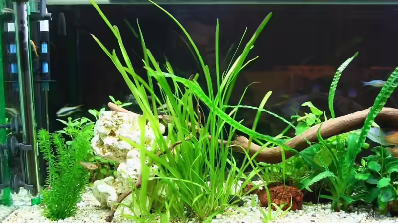 20.2.2011 von hirschjäger (26)