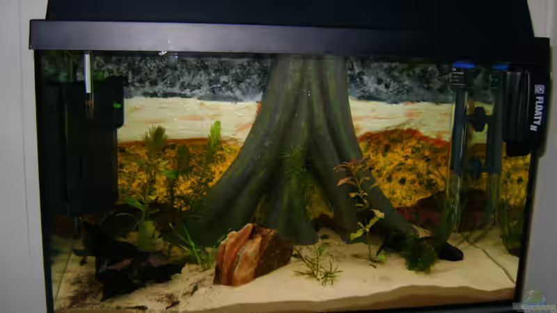 20.7.10 von Franz Wüest (2)