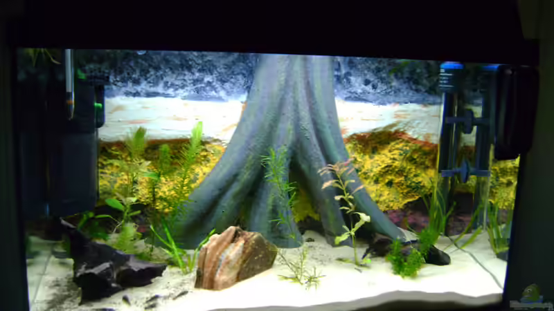 20.7.10 von Franz Wüest (3)