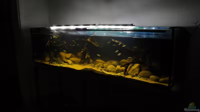 20.7.2014 von Laura (14)