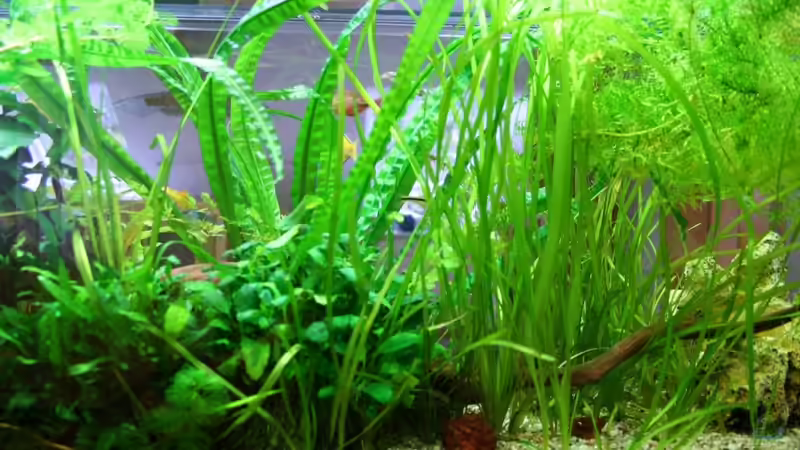 20.9.2011 von hirschjäger (23)