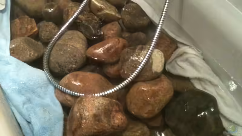 200-250kg Gestein beim Waschen von Ether1986 (3)