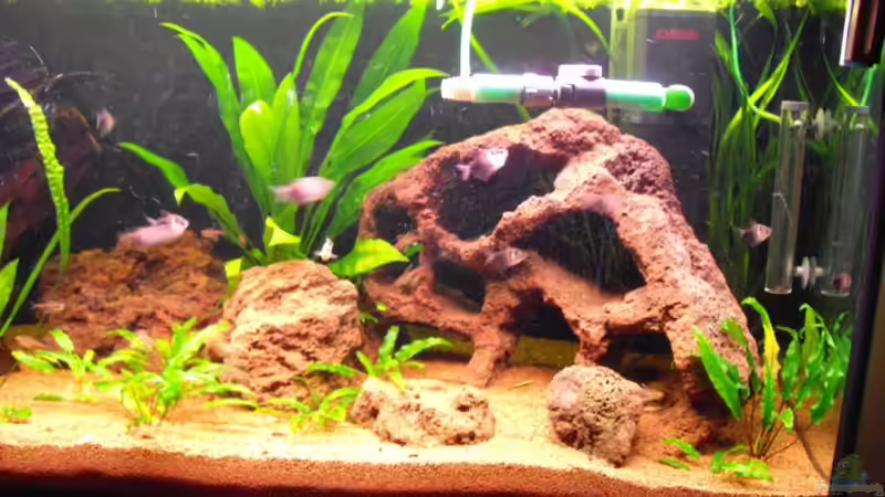 200 Liter 3 von Red_Devil (4)