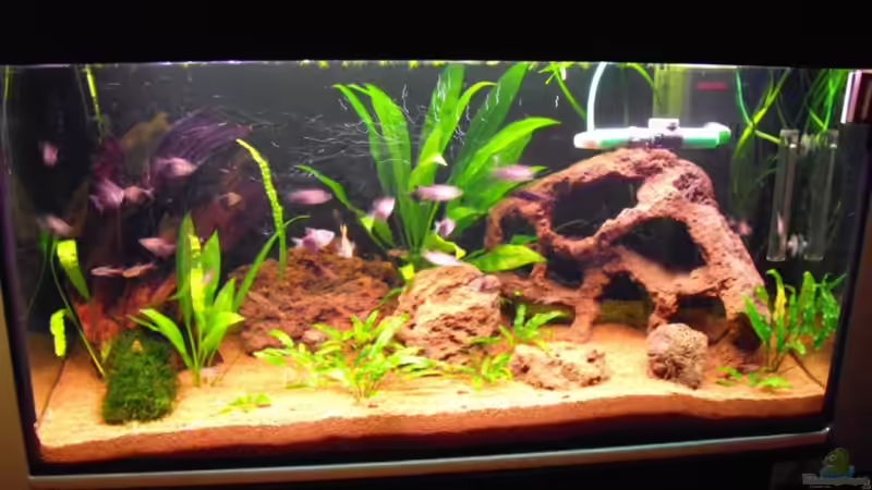 200 Liter von Red_Devil (2)