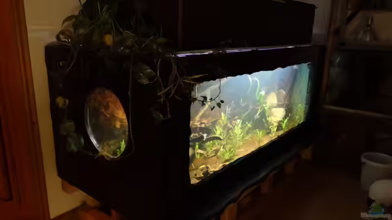 2000L Südamerika-Holz-GFK-Becken in  norddeutschem Wohnzimmer