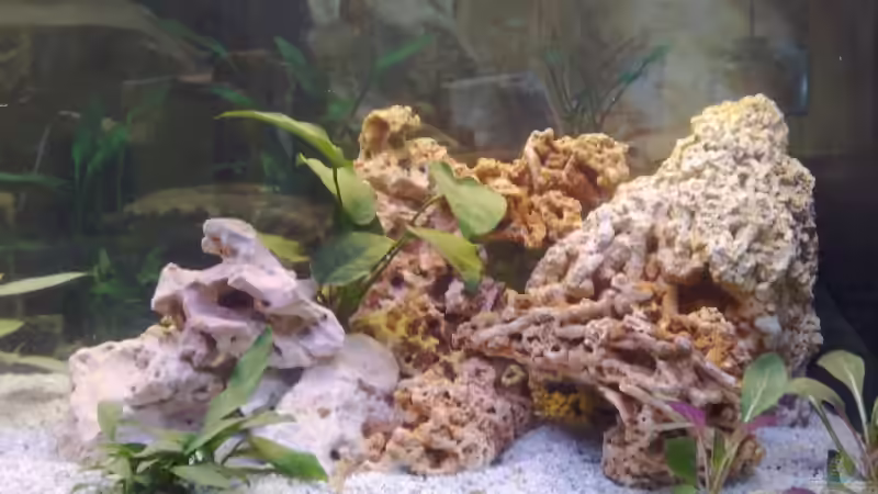 2008 von Stefan Mischler (11)