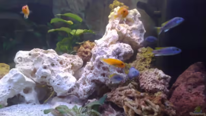 2008 von Stefan Mischler (13)