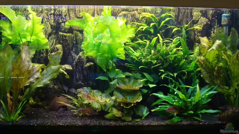 200er Stand: 11.10.2010 von Christian Heitmann (1)