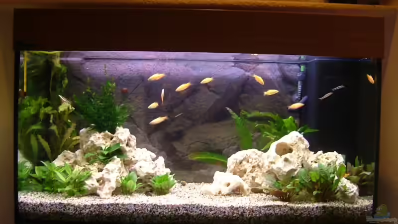 200l. Gesellschaftsbecken