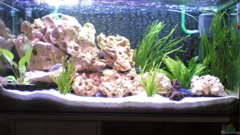 200l von Richard Lischka (1)