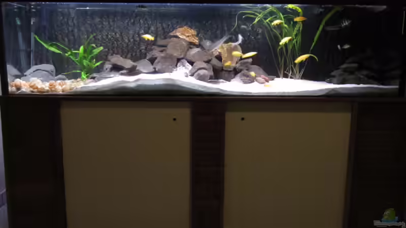 200x50x50 Aquarium von Haens84 (1)