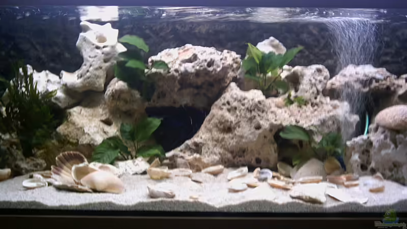 200X60X40 = 480 L von Armin Lange (1)