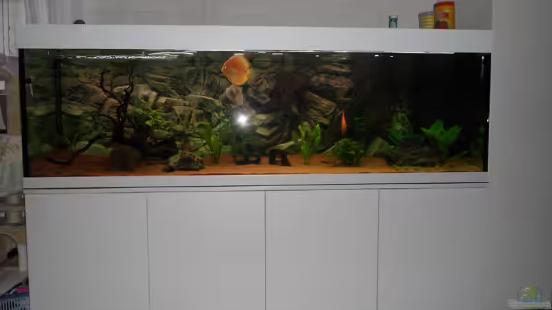 200x60x60 von Discus (3)