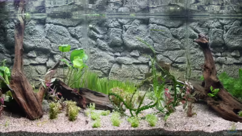 2010-12-05 von haimik (3)